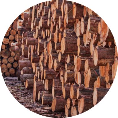 timber inventory software|Inventory Management for Wood Industries :: Timbersoft.